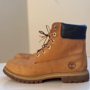 Timberland Premium 6" - Wheat